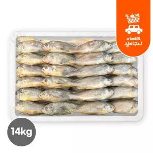 냉동 참조기 14kg 식당용 업소용 도매 구이용 생선