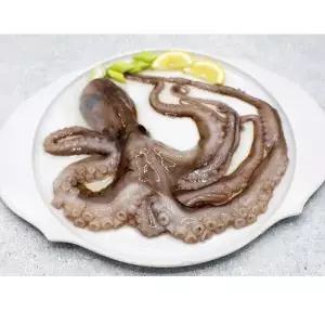 냉동 활낙지 850g (3미 4미 6미 8미) X 6 2122266 J