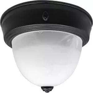 Facon 12V RV 천장 조명 - 스위치 러빙 브론즈 및 알라바스터 글라스가 장착된 10인치 LED 다이넷 기구