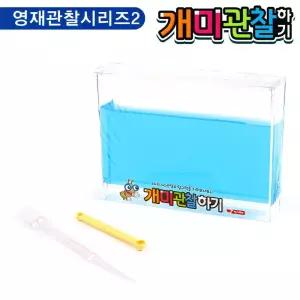 (튼튼)개미 관찰하기 (대) (블루) (1036)곤충학습 채집 채집통 자연