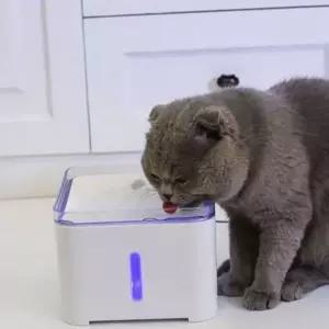 고양이 정수기 강아지 정수기 정수형 자동 대용량펫 필터 디스펜서 애완용 식수대 공