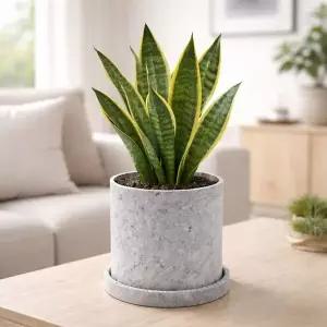 빈티지 시멘트 실린더 화분 M 13x13cm 라이트그레이 WFLSM3L
