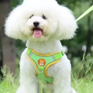강아리 애견 산책 소형견 하네스 개줄 가슴줄 WFLRZHS