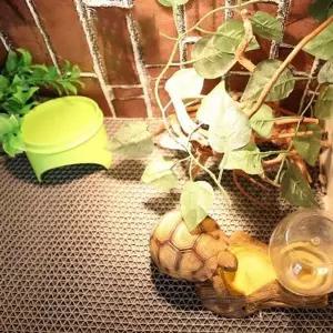 방수 파충류 사육장 매트 보습 파충류 케이지 매트 육지거북 청결 WFLRL9Q