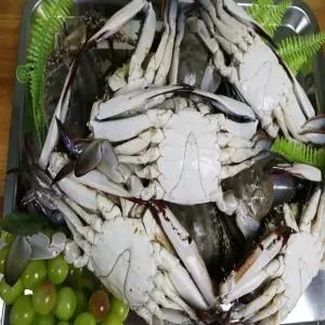 [푸른식탁] 국내산 활 숫꽃게 3kg (1kg당 5-6미)