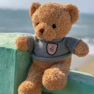 곰인형30cm 곰인형선물용 봉제인형장난감어린이날선물테디 베어