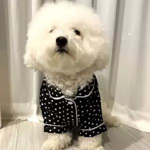 반려견 커플 세미유광 파자마 실내복 블랙 핑크 티셔츠 강아지 애견 강아지옷 유광 애견복