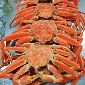 건담농수산 러시아 자숙 대게 A급 4KG(생물기준) 홈파티음식 박달 배달