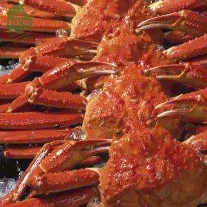 건담농수산 러시아 자숙 대게 A급 3KG(생물기준) 고급안주 박달 마가단