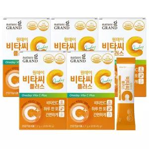 네이처그랜드 원데이 비타씨 플러스 20포 X 5개 비타민C 분말 스틱 항산화
