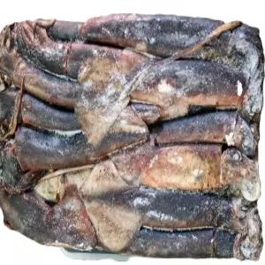 적도오징어 20kg 먹물 통마리 냉동오징어 대용량 업소용 벌크