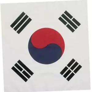 [하프클럽/]태극기 기념 응원 손수건 대형 용 응원용