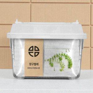 장구 벌레 관찰 키트 모기 유충 관찰 키트 어린이 과학실험 교육 학습 기르기 관찰용 관찰통 체험 사육