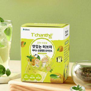 아이스 허브차 유자 허브차 냉수용 시원한 저칼로리 무카페인 홈카페 데일리 콤부차 생분해 삼각 선물 국산