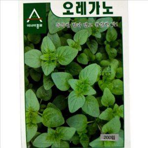 요리용 오레가노 씨앗 향신 허브 씨앗 다년생 텃밭