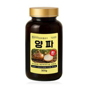 (6147) 양파환