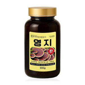(6143) 영지환 (영지버섯)