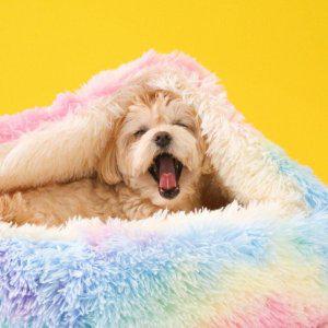 강아지 고양이 마약방석 숨숨집 중형M(80cm)