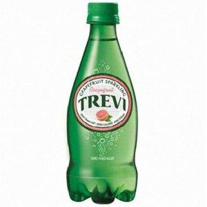 음료수 롯데칠성 트레비 500ml 행사상품 PET X 자몽 24