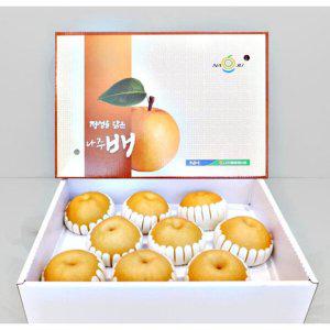 나주 배 원황 신고배 햇배 가정용 상 8-10과 5kg