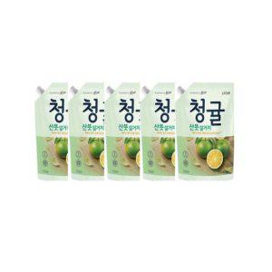1kg 청귤주방세제 1kg리필세제 주방세제 5개입세제팩