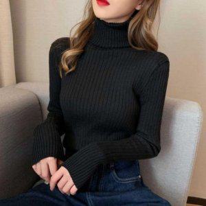 레이디 F/W 블라우스 팔레트 보아하이넥티 타이트핏 목티셔츠 20대 30대 러블리 스탠다드 폴라넥 베이직라