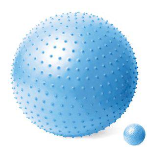 밸런스볼 짐볼운동 하프 필라테스 발란스 밸런스팟 돔볼 짐볼 65cm 알래스칸 블루 마사지볼