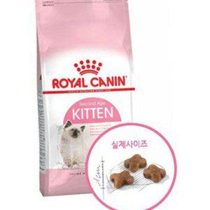 반려묘 먹이 건식 고양이 어린 주식 건사료