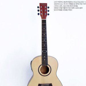 Olivia AEQ-120 듀얼소스 EQ 미니 EQ 통기타