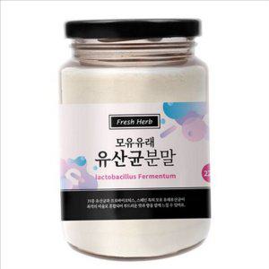 프로바이오틱스 모유 유래 유산균 락토바실러스 유산균 분말 장건강 데일리 건강