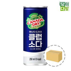 캐나다 드라이 클럽소다 250ml (30캔)