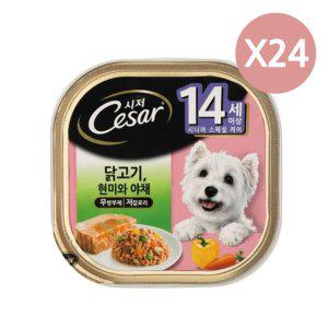강아지 닭고기 습식 캔 100g 24P 시저 통조림 노견