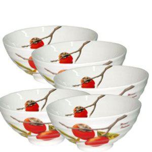 철기아트 대접 세트 그릇 면기 국그릇 접시 홍시 5p 국수그릇 냉면기