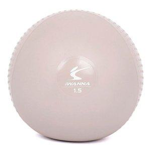 아이워너 마사지볼 소프트 토닝볼 1.5kg x 2개 세트 웨이트볼 폼볼 스트레칭볼