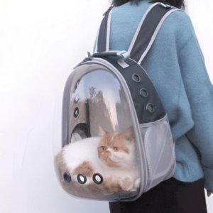 고양이 강아지 반려동물 외출용 백팩 이동가방 캐리어
