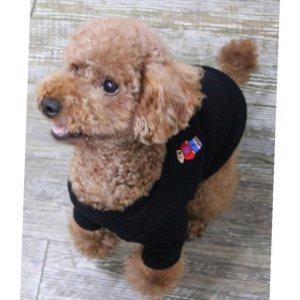 강아지 곰돌이 특가형 니트 반팔티 블랙 2XL 1P 겨울 보온