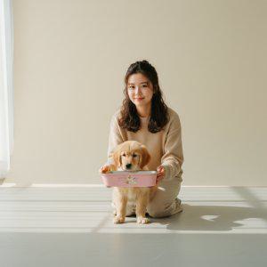 펫 전용 식기 강아지 고양이 사료 그릇 급수기 용기