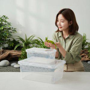 대형 파충류 아크릴 사육장 도마뱀 테라리움 비바리움 케이지 사육용품