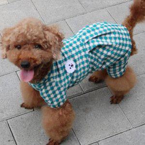 체크 강아지 에코 비숑 올인원 민트 1P 긴팔 점프수트 쭈리