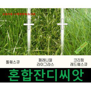 혼합종자 잔디씨 잔디종자 법면녹화 경사면녹화 1kg