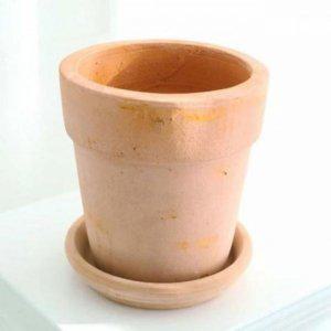 토분 16x17cm 예쁜토분 선인장화분