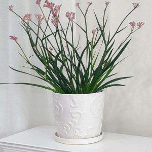 화분 화이트 D18x18cm 화이트화분 깔끔한화분 화이트토분 예쁜토분 플랜테리어