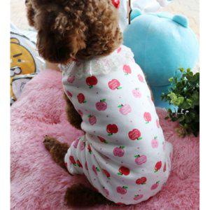 사과 강아지 세련된 레이스 올인원 1P 점프수트 겨울 보온