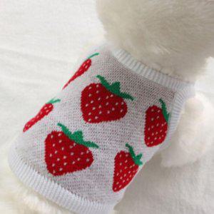 강아지 포인트 쿨 패턴 니트 나시티 딸기 3XL 1P 티셔츠