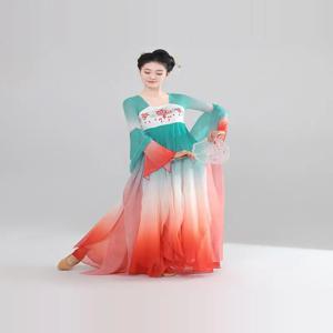 우아한 고전 무용 의상 여성용 가운 스커트 긴 실크 쉬폰 연습복 한당 댄스웨어 에테리얼 페어리라이크