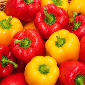 파프리카 2.3kg  / 노랑,빨강 혼합-사이즈랜덤