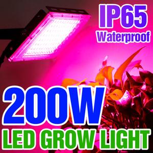 식물용 피토램프 200W LED 식물등 피토 램프 풀 스펙트럼 전구 수경재배 램프 온실 꽃 씨앗 재배 텐트