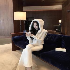 여성용 짧은 소매 없는 퍼 조끼 코트 고급 시뮬레이션 밍크 가을 겨울 패션 아우터웨어 모자 지퍼 여밈