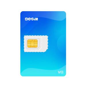9eSIM V0 글로벌 물리적 eSIM 카드, 15개 프로필 및 STK 메뉴, 무제한 다운로드