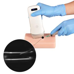 다중 혈관 디자인을 갖춘 초음파 혈관 접근 팬텀